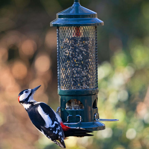 Ruokinta Squirrel Buster standard, oravat estävä ja kestävä lintujen ruokintalaite